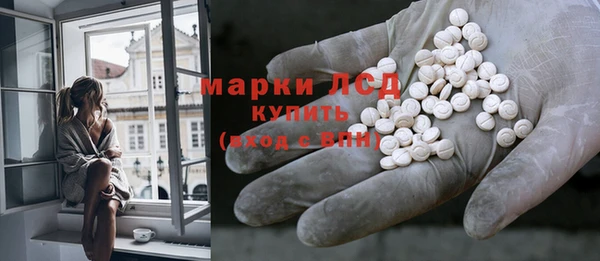 стаф Алзамай