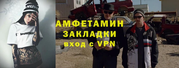 хмурый Алексин