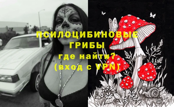 хмурый Алексеевка