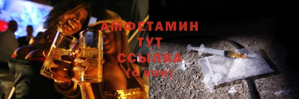 стаф Алзамай