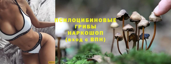 хмурый Алексин