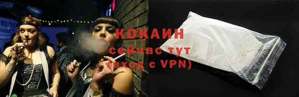 стаф Алзамай