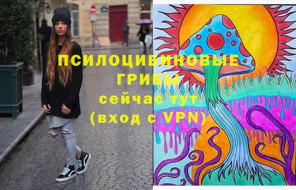 хмурый Алексеевка