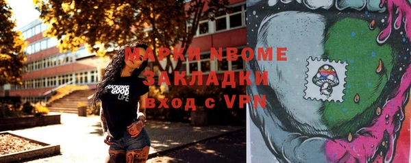 хмурый Алексин