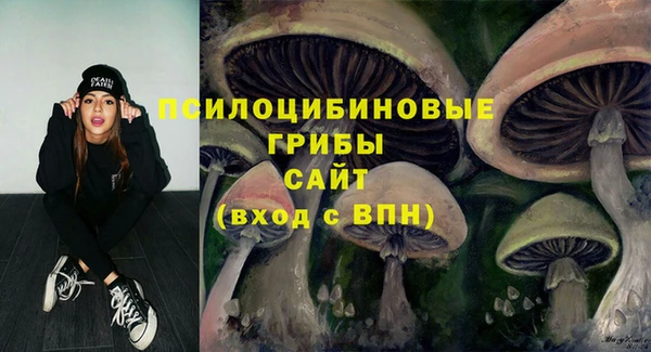 хмурый Алексин